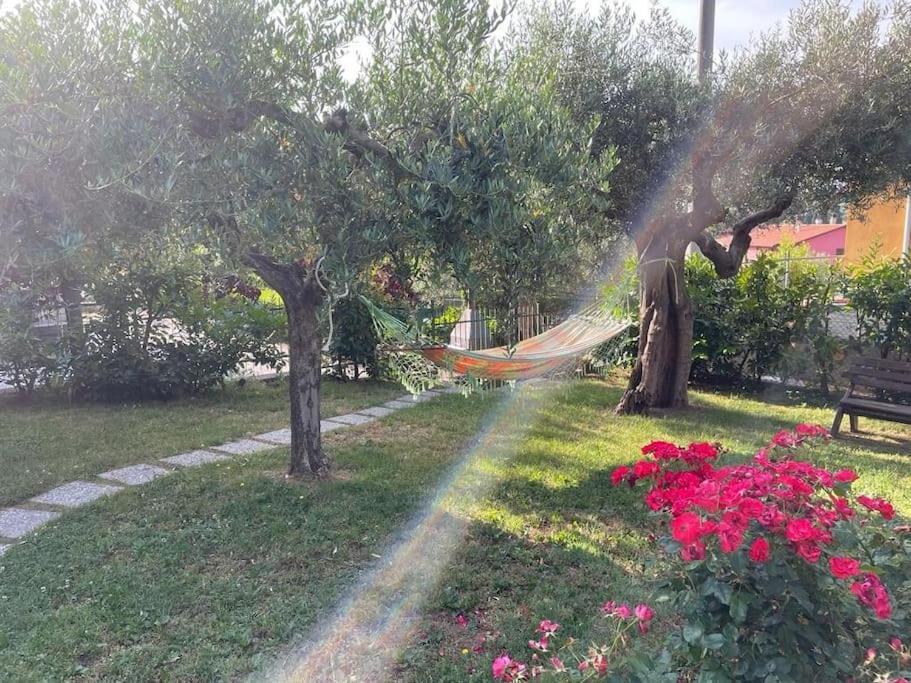 La Dimora Delle Rose Apartment Passignano sul Trasimeno Exterior photo